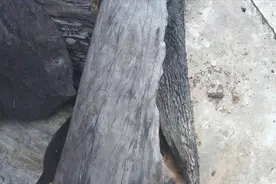 地下挖上来又黑又硬的木头，像铁一样重，用火烧灰变成黄色