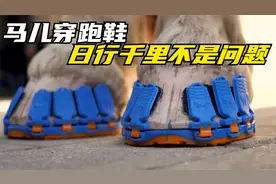 国外发明马儿专用跑鞋，从此代替马蹄铁，日行千里不是问题