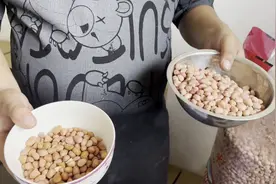 贝爸现场做实验花生米为什么不能暴晒，暴晒过花生米对比就不一样视频封面