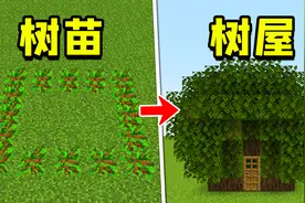 我的世界：教程不会教你的，6个隐藏特性！