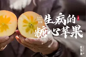 冰糖心苹果其实是苹果病变？2次霜打形成糖心，甜到结晶的丑苹果视频封面