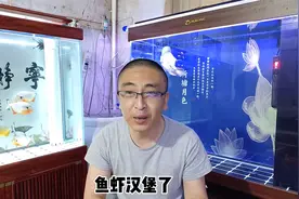 为什么观赏鱼出现不爱摄食的问题，应该如何解决，就是饿的轻吗？视频封面
