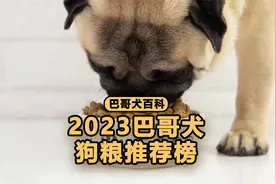 2023巴哥犬狗粮推荐榜！