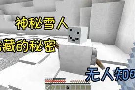 我的世界：雪人暗藏玄机，特殊身份无人知晓，以死守护通关秘密视频封面
