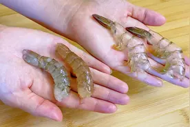 原来剥虾仁这么简单，学会这个小技巧，轻轻一拉，1秒1个完整脱落