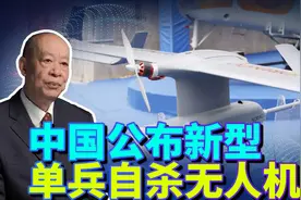 中国公布单兵自杀无人机，一人能带两枚，比美国的弹簧小折刀还猛视频封面
