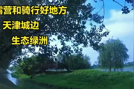骑行中偶然发现美丽景色，城市不多见的自然生态，适合骑行和露营视频封面