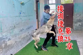 怎么训练狗狗吠叫？农村小伙教你一招，在玩耍的过程中也能教学视频封面