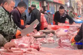 河南安阳猪肉降价了，汽车排成队卖家忙不来，17元买的找上门太贵视频封面