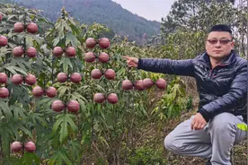 新疆夫妻来安徽，承包30亩荒地搞种植，3年收入高达700万