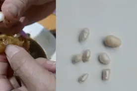 不可思议！山东女子菜市场买脱壳河蚌，孩子一吃吃出7颗珍珠视频封面