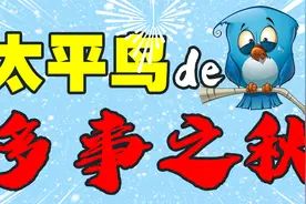 太平鸟：没能成为中国ZARA，却险些毁了中国原创视频封面