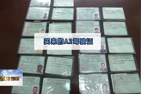 买来的A2驾驶证视频封面