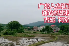插秧农忙季节广东人在江西新农村淦田，品古建老屋祠堂享乡村美景视频封面