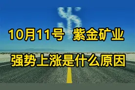 紫金矿业强势上涨的原因是什么呢？视频封面