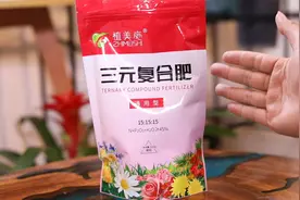 家庭养花施什么肥料？园艺师教你，用三元复合肥，什么花卉都通用