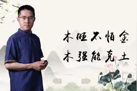 木旺不怕金，木强能克土视频封面