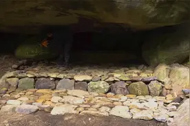 几个简单的方法，让你在荒野中建立一个舒适的庇护所！#荒野建造视频封面