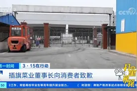 3·15在行动！插旗菜业董事长向消费者致歉|第一时间视频封面
