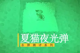 夏猫夜光弹【wargame水弹测评18】视频封面