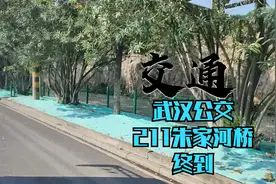 【交通】武汉公交211改线后朱家河桥终到视频封面