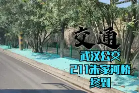 【交通】武汉公交211改线后朱家河桥终到视频封面