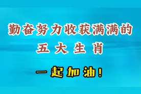 勤奋努力的五大生肖，看看有你吗？一起加油吧视频封面