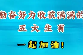 勤奋努力的五大生肖，看看有你吗？一起加油吧视频封面