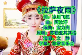 文静3首歌曲联唱《拉萨夜雨》《一路向北》《爱过了也伤过了》！