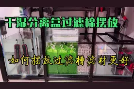 龙鱼鱼缸过滤槽滤材，干湿分离盒过滤棉如何摆放做到效果最大化！视频封面