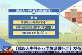 《残疾人中等职业学校设置标准》发布视频封面
