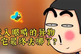 如果进入眼睛的异物，没揉出来，那它最终去哪了？视频封面