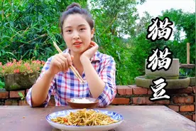 小向做四川特色美食“猫猫豆”，很多人见都没见过，你吃过吗？