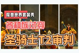 魔兽世界全种族套装-圣骑士T2审判