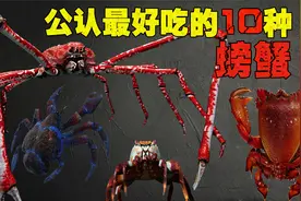 公认“最好吃”的10种螃蟹，爱吃蟹子的不要错过，你吃过哪几种？视频封面
