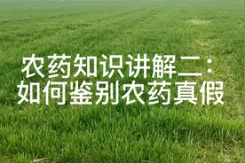 农药知识讲解二：如何鉴别农药真假视频封面