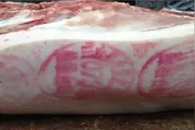 为什么有盖红章和蓝章的猪肉？不同的章差别很大？看完长见识了！视频封面