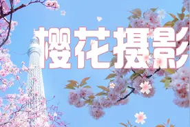 拍摄樱花用这三种方法，照片立马丰富精彩，易学易用！视频封面
