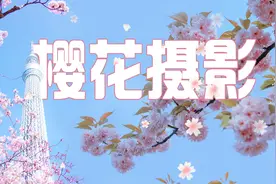 拍摄樱花用这三种方法，照片立马丰富精彩，易学易用！视频封面