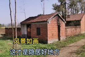 河南农村小院想不想来一套，风景美如画，真是隐居的好地方视频封面