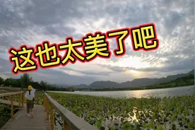 实拍石家庄规模最大的城市公园：龙泉湖湿地公园视频封面
