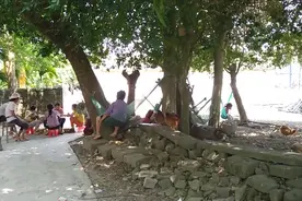 第一次见到一只鸡被人压得蛋都飞了出来，这只鸡真是太倒霉了视频封面