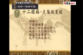 《针灸大成》08：足阳明胃经视频封面