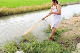 女人穿吊带裙下河捉鱼，出水时尴尬了，这衣服咋这样啊视频封面