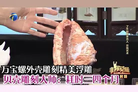 万宝螺外壳雕刻精美浮雕，贝壳雕刻大师：耗时三四个月丨非你莫属视频封面