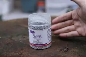 养花长了虫子怎么办？园艺师教你，用吡虫啉，把各种虫子一网打尽视频封面