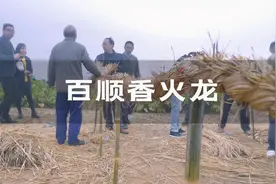 南雄百顺香火龙，令人惊叹的民间艺术视频封面