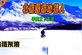 零下30度，年轻小伙捕获1500美刀的大灰狼，扛在肩上都费劲！视频封面