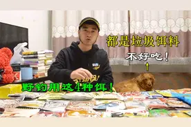 几百种商品饵该如何选？刘一条：野钓分清4类饵，钓鱼不再瞎花钱视频封面