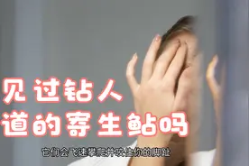 你见过钻人尿道的寄生鲇吗视频封面